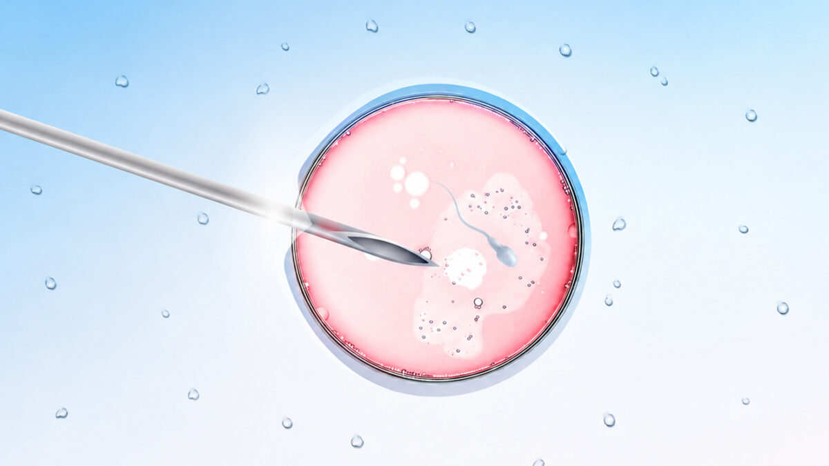 fertility